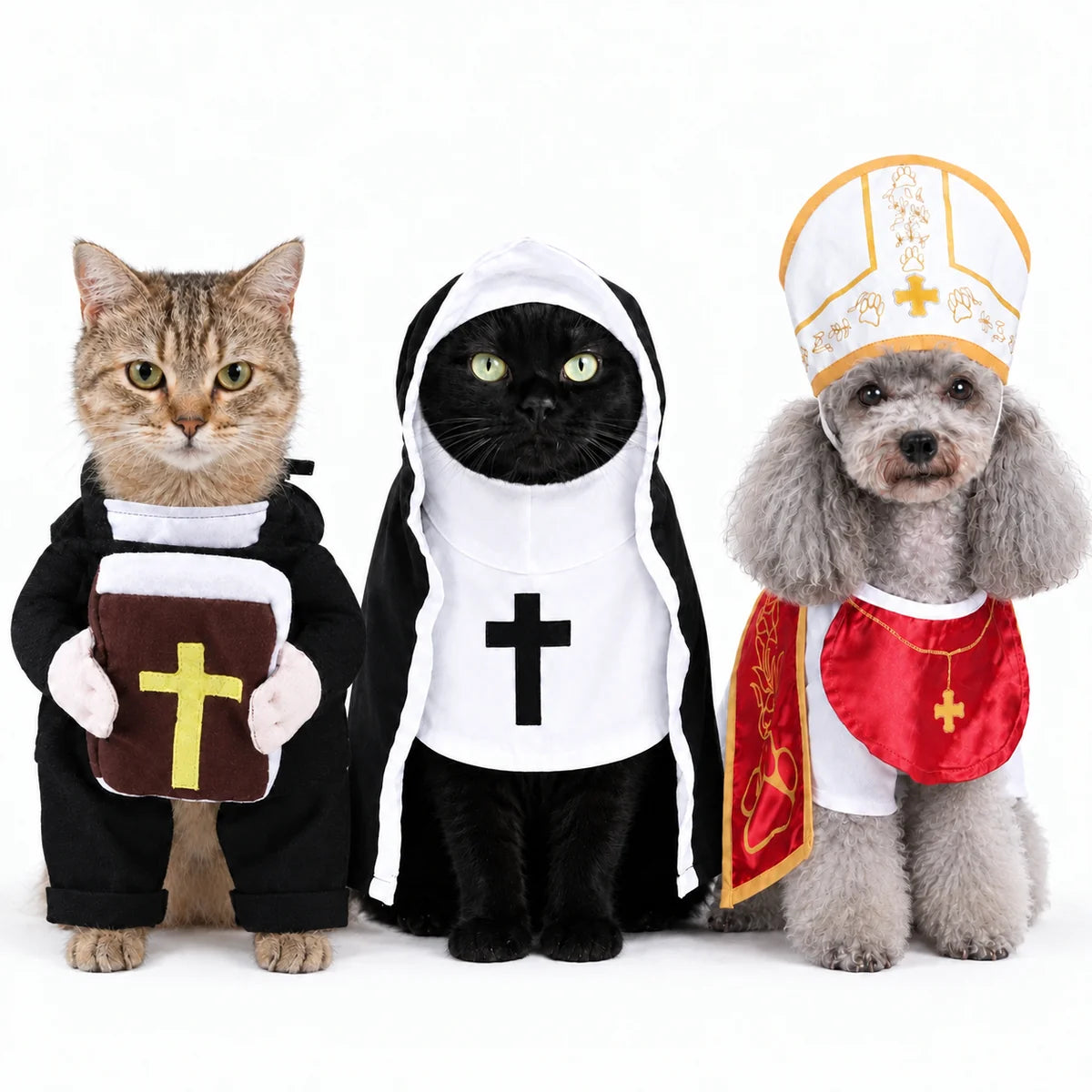 Disfraz de mascota sagrado