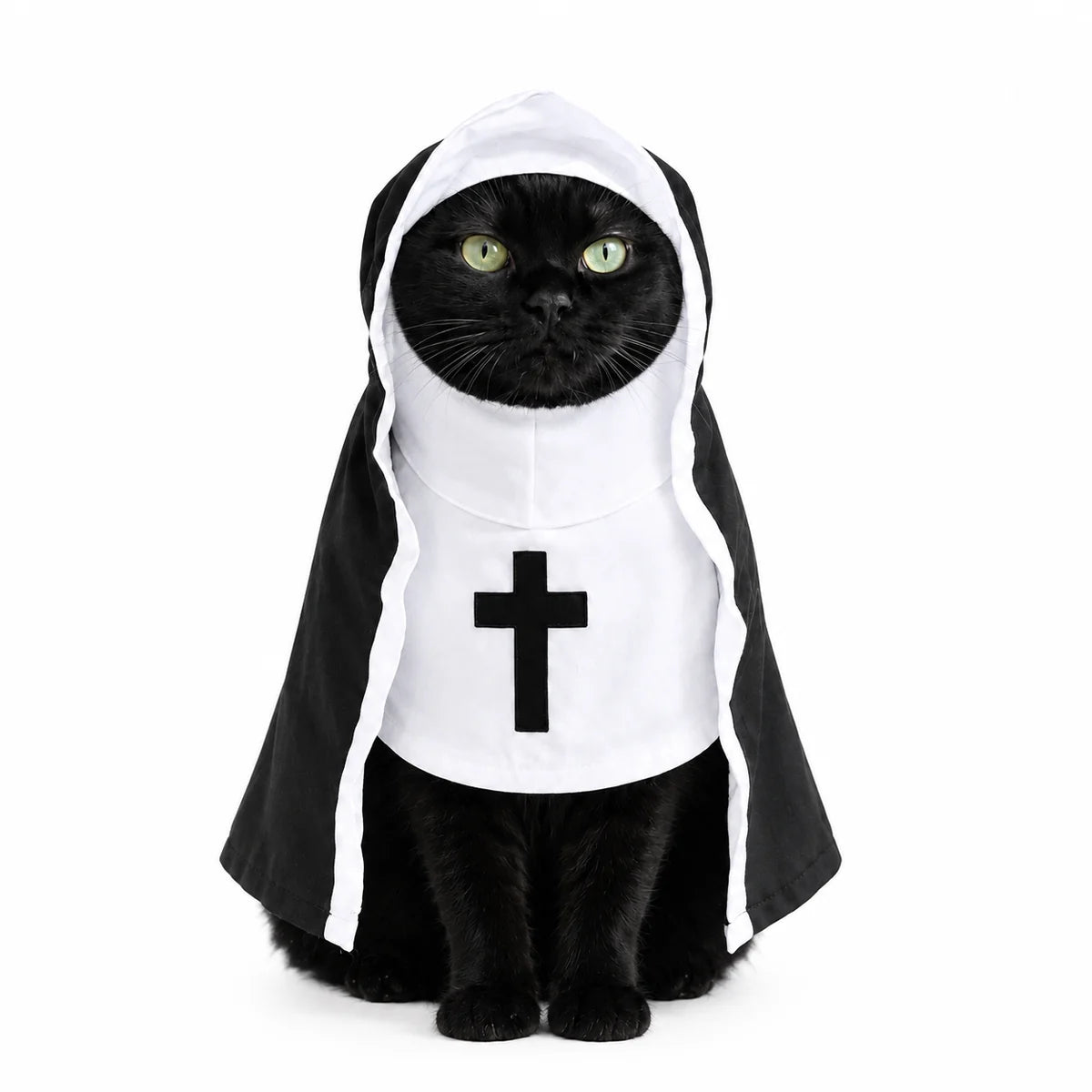 Disfraz de mascota sagrado