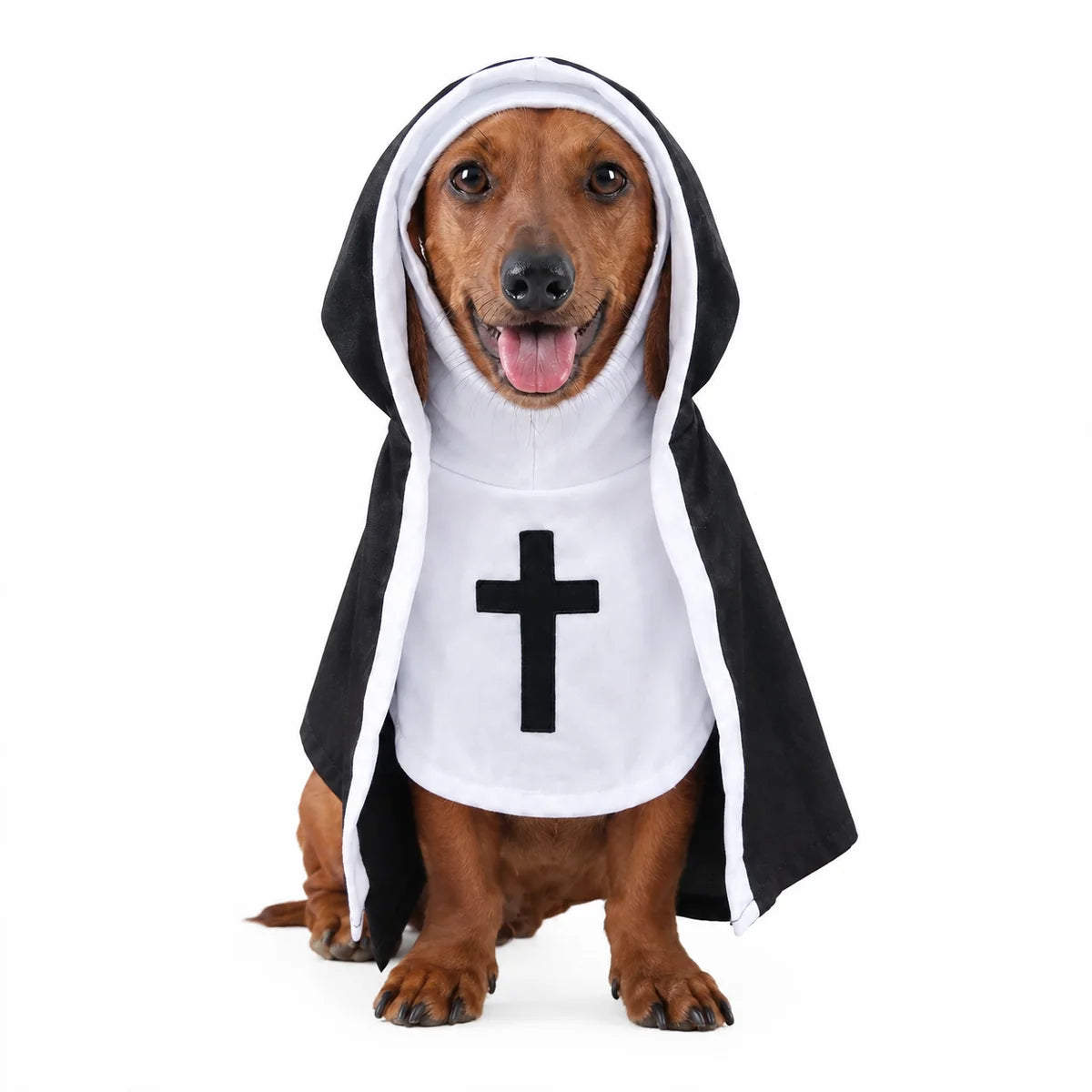 Disfraz de mascota sagrado