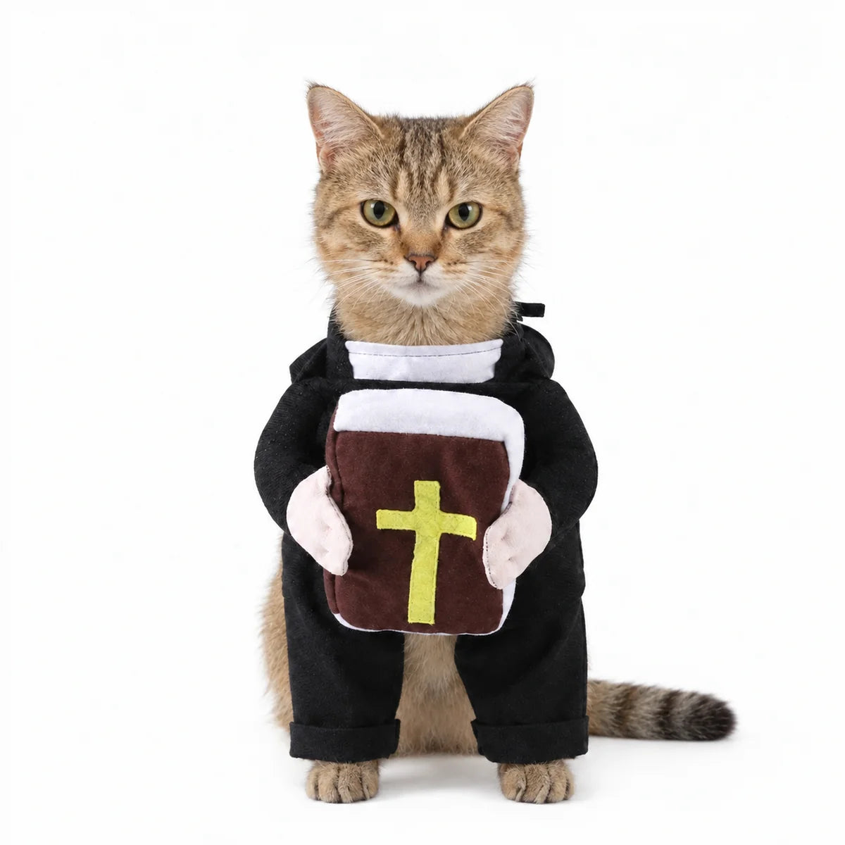 Disfraz de mascota sagrado