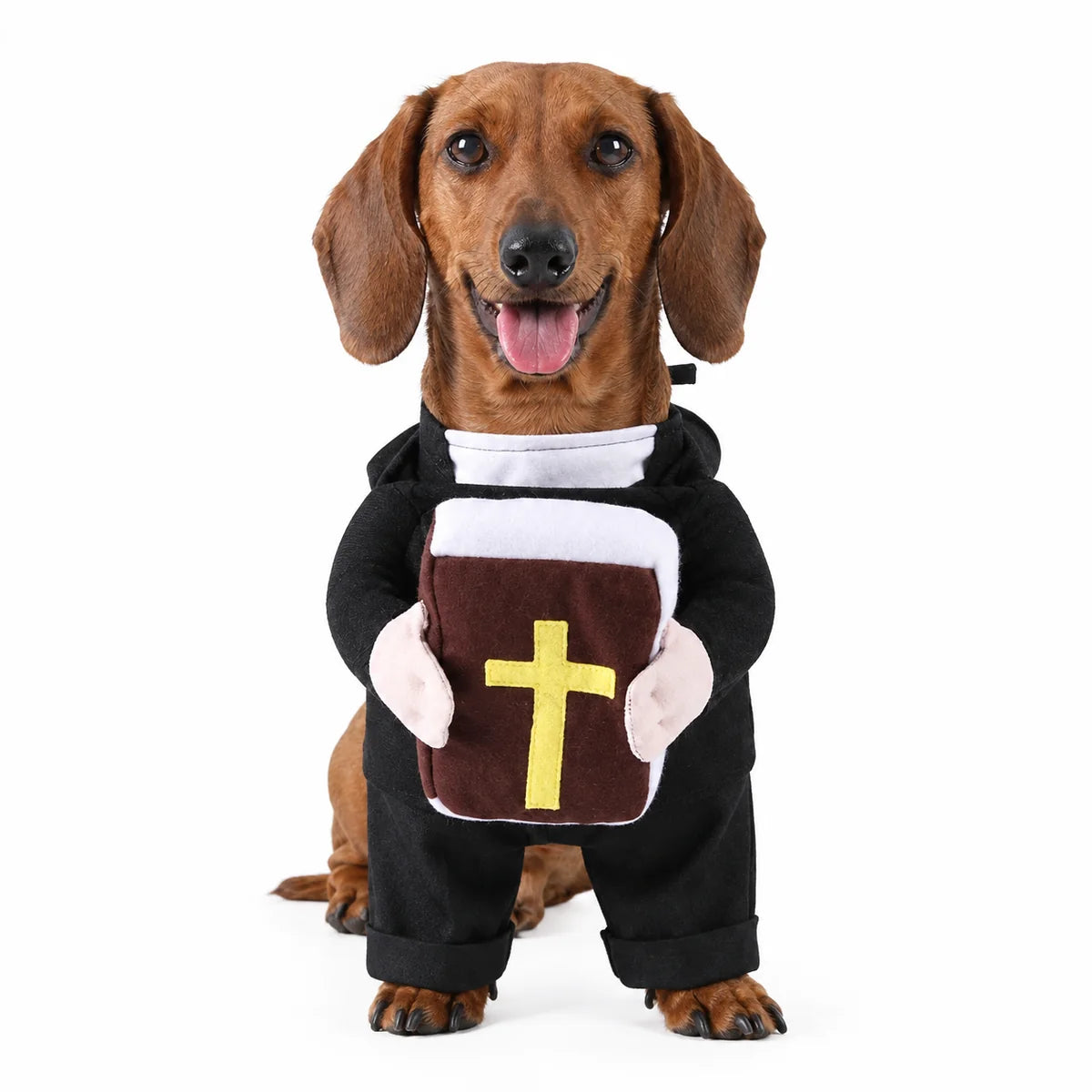 Disfraz de mascota sagrado