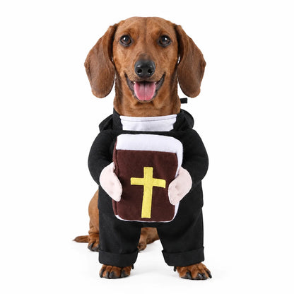 Disfraz de mascota sagrado