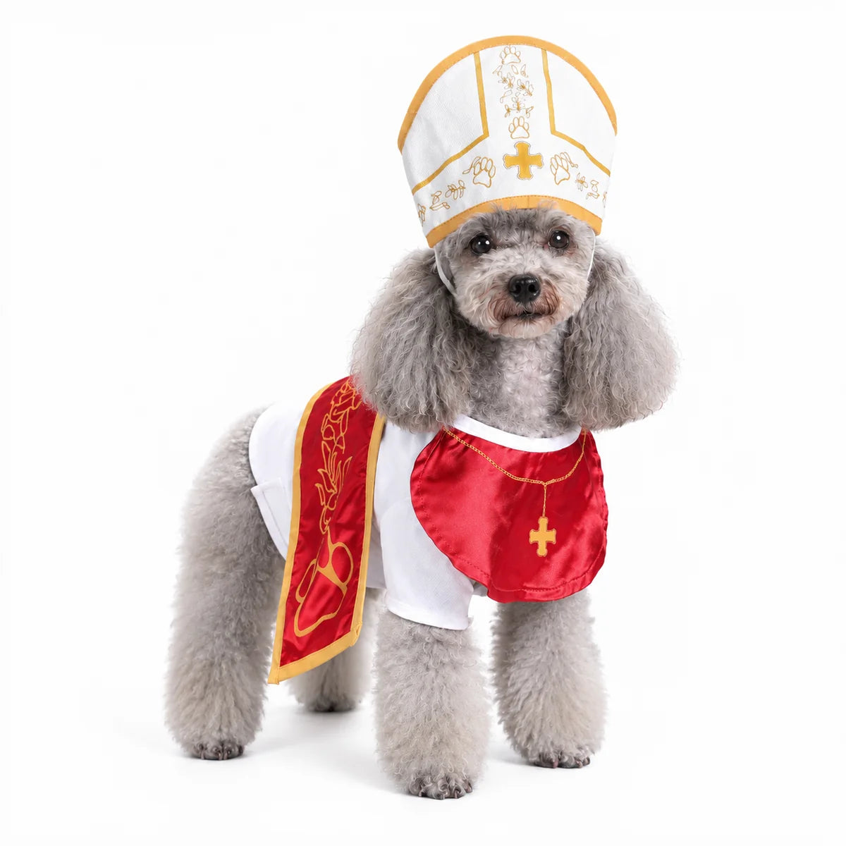Disfraz de mascota sagrado